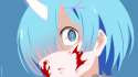 rem204.png