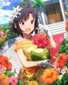 2378478 - 1girl antenna_hair black_hair cloud coconut flower gloves hair_flower hair_ornament hibiscus idolmaster idolmaster_million_live! jewelry kikuchi_makoto necklace official_art purple_eyes short_hair sky solo sp.jpg