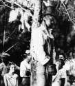 hang01.jpg