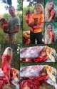 horse-blanket-662x1024.jpg