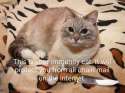 StickItImage_1470546082332.jpg