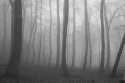 SlenderMan06.jpg