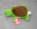 BeanieSpeedyTurtle.jpg