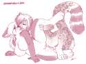 ea83ea610100afe9fb2de73c0ef62c0b.jpg