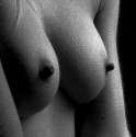 fuzz and bumps.jpg