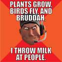 scout_meme_by_rdcarneiro-d4725yl.jpg