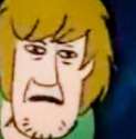 why.jpg