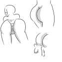 butts.jpg