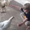 1470002814113.gif