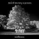 BairdHerseyPrana-Sadhana.jpg