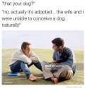 FB_IMG_1469020222189.jpg