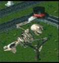 image.jpg