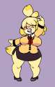e38d983be5ee4a65d8f7c33c88b7a952.png