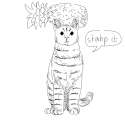 pinneaple_cat.png