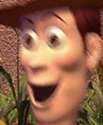 WOODY.png