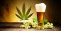 Beer-Marijuana.jpg