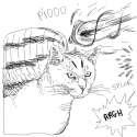 cat_7.png