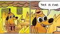 fine.jpg
