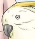 I've seen some shit.png
