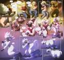 Watsup-One-Sheep-Short2.jpg