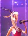gazelle-1.gif