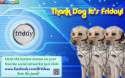 thank dog its friday.jpg