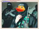 isis_duck12.png