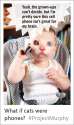 received_1157492044315365.jpg