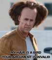 my-hair-is-a-bird.jpg