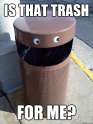 Trash.jpg