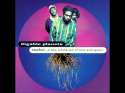 digable planets.jpg
