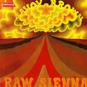 SavoyBrown-RawSienna.jpg