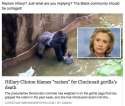 hillary-clinton-blames-racism-for-cincinnati-gorillas-death.jpg