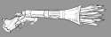 swordshootinggun.jpg