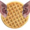 Wafflelf.png