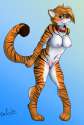 1470625843.candy_scikitten...jpg