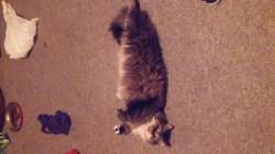 20160619_014326.jpg
