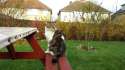 20131212_100757.jpg
