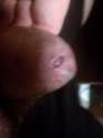 WP_001675.jpg
