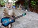 blind Monkey Jones.jpg