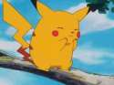 IMG_6691.gif