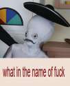 NEWMEMES.jpg