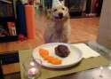 ^059A08EAD907AA035B43123A1046EDF1AC75808C506D61AC50^pimgpsh_thumbnail_win_distr.jpg