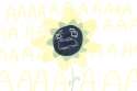 lemonz.png