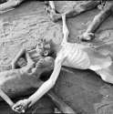 Bergen-Belsen concentration camp.jpg