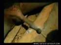 african dick cut.gif