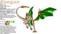 keegan_ref_sheet__age_12_by_sighriadragoness12-d47n0qd.png