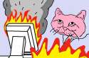 kot on fire.jpg
