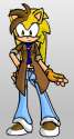 allison_the_hedgehog_by_shadamylover56.jpg