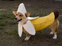 banaan8.jpg